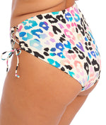 Elomi Party Bay Bikini Brief in Multi