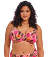 Elomi Cabana Nights Plunge Bikini Top in Multi