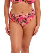 Elomi Cabana Nights Mid Rise Bikini Brief in Multi