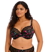 Elomi Lucie Plunge Bra In Rock N Rose