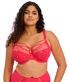 Elomi Sachi Underwired Plunge Bra In Red Confetti