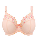 Elomi Himari Plunge Bra in Peach Whisper