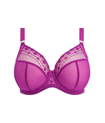 Elomi Matilda Plunge Bra in Hollyhock