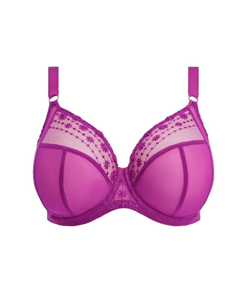 Elomi Matilda Plunge Bra in Hollyhock