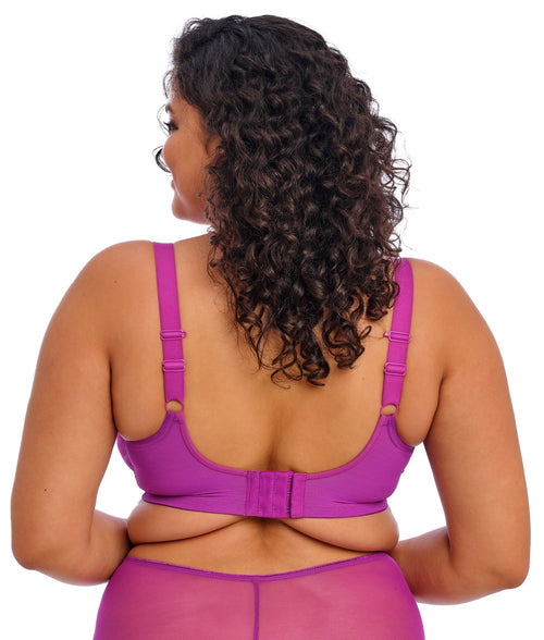 Elomi Matilda Plunge Bra in Hollyhock