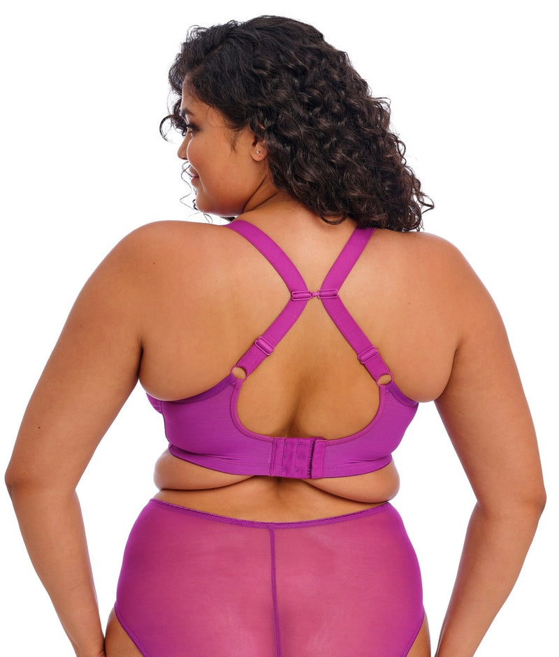 Elomi Matilda Plunge Bra in Hollyhock