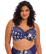 Elomi Morgan Stretch Banded Bra in Sicilia