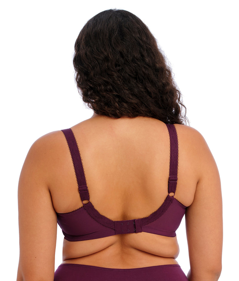 Elomi Morgan Banded Bra in Blackberry