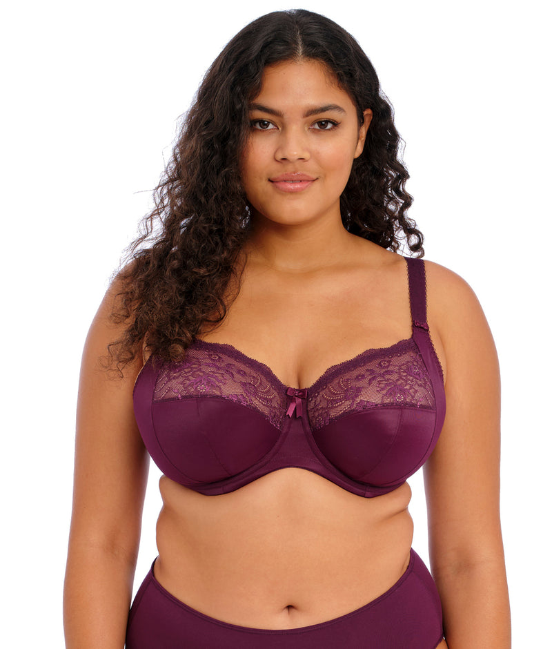 Elomi Morgan Banded Bra in Blackberry