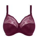 Elomi Morgan Banded Bra in Blackberry