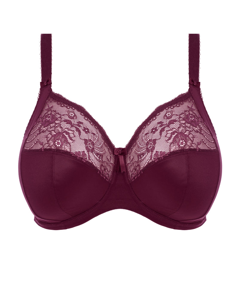 Elomi Morgan Banded Bra in Blackberry