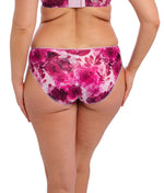 Fantasie Pippa Brief in Raspberry Ripple