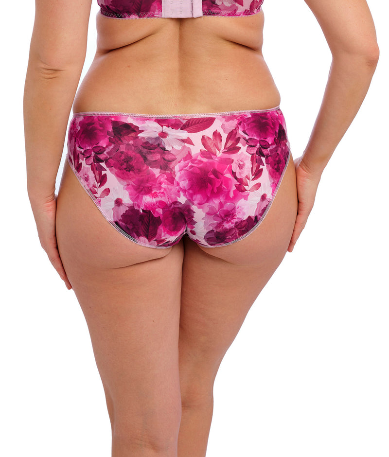 Fantasie Pippa Brief in Raspberry Ripple