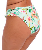 Elomi Sunshine Cove High Leg Brief in Aqua