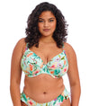 Elomi Sunshine Cove Plunge Bikini Top in Aqua