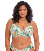 Elomi Sunshine Cove Plunge Bikini Top in Aqua