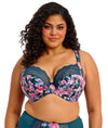 Elomi Lucie Plunge Bra in Teal Floral front view