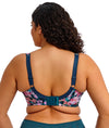 Elomi Lucie Plunge Bra in Teal Floral back view