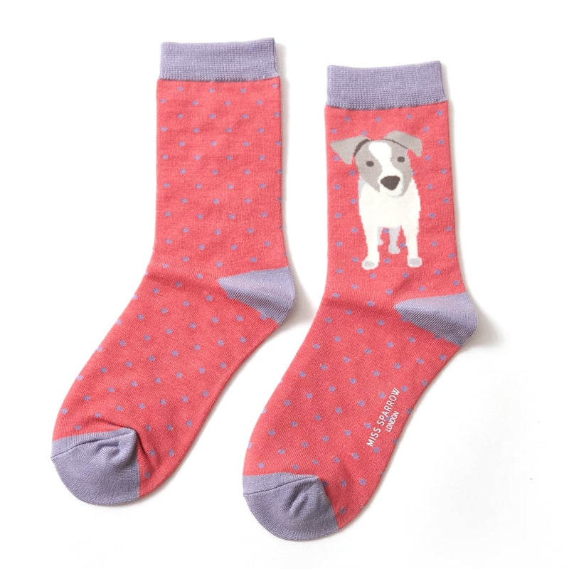 Miss Sparrow Jack Russell Pup Socks in Pink