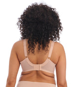 Elomi Morgan Banded Bra in Sahara