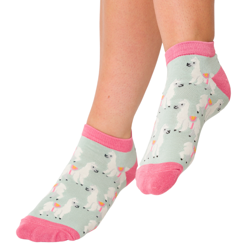 Miss Sparrow Llama Print Trainer Socks In Duck Egg